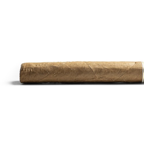 Davidoff Aniversario Double R Cigar - 1 Single