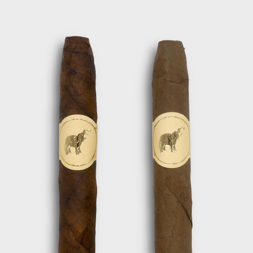 De Olifant Limited Edition Kampen 200 Anniversary Corona Panatella Cigar - Box of 10