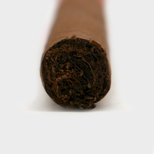 Plasencia Dominique Seleccion 2026 Exclusive Lancero - Box of 25