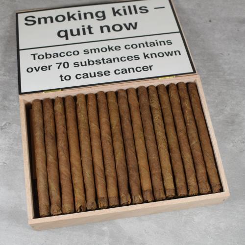 C.Gars Ltd Dutch Blend Wilde Senoritas - Box of 50