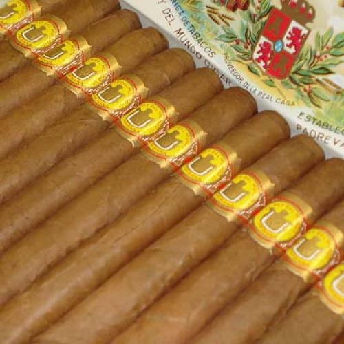 El Rey del Mundo Demi Tasse Cigar - 2 x Box of 25 (50) Bundle Deal