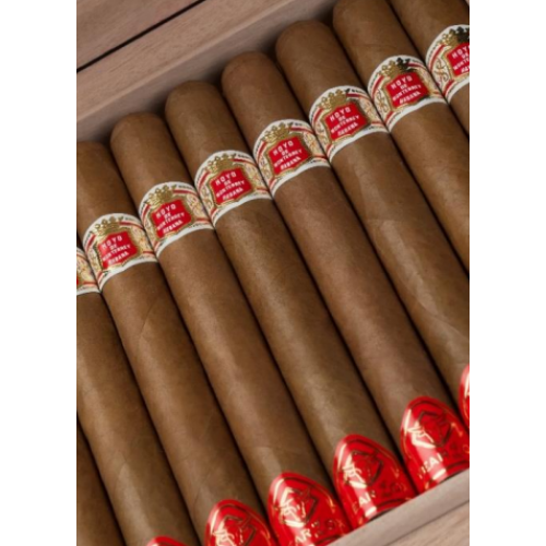 Hoyo de Monterrey Primavera Year of the Ox Limited Edition 2021 Cigar - 1 Single