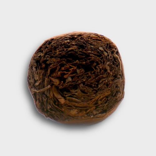 Kristoff Shade Grown Robusto Cigar - 1 Single