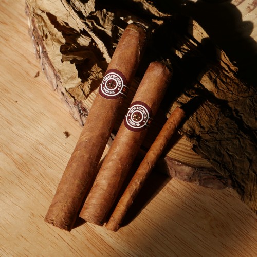 Montecristo Collection Cigar Sampler - 3 Cigars