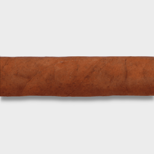 Montecristo Open Eagle Cigar - 1 Single
