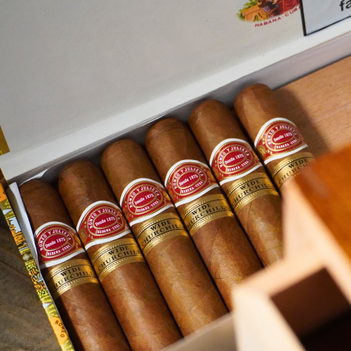 Romeo y Julieta Wide Churchill Cigar - 1 Single
