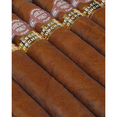 Sancho Panza Belicosos Orchant Seleccion - 1s