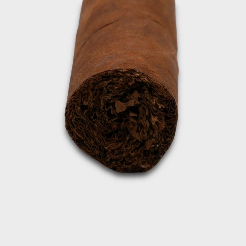 Tatuaje Triunfador Petit Robusto Cigar - 1 Single
