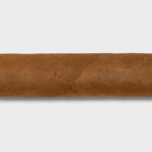 Tatuaje 7th Corojo Corona Gordo Cigar - 1 Single