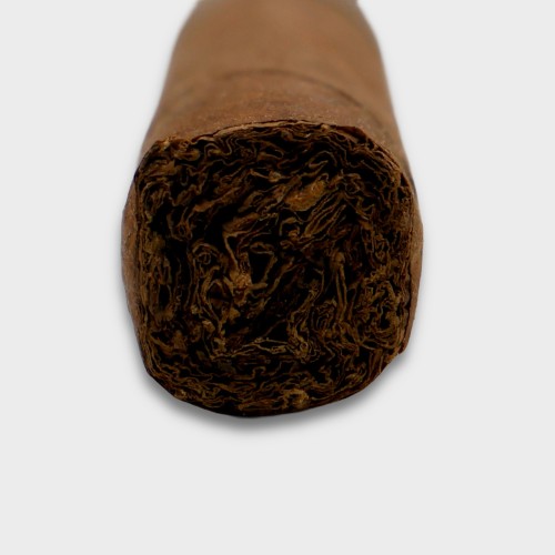 Tatuaje 7th Corojo Corona Gordo Cigar - 1 Single