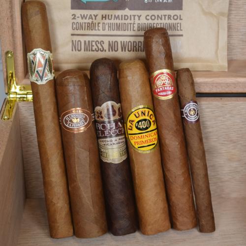 The Ultimate Starter Set Compendium Sampler