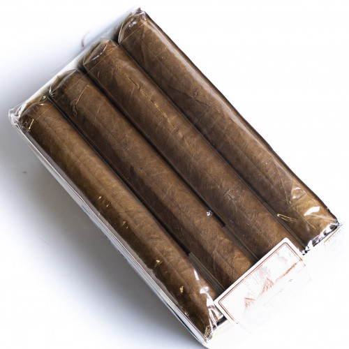 Cusano Dominican Selection Robusto Cigar - Bundle of 16