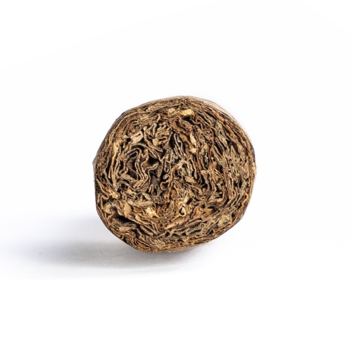 Flor De Oliva Robusto Cigar - 1 Single