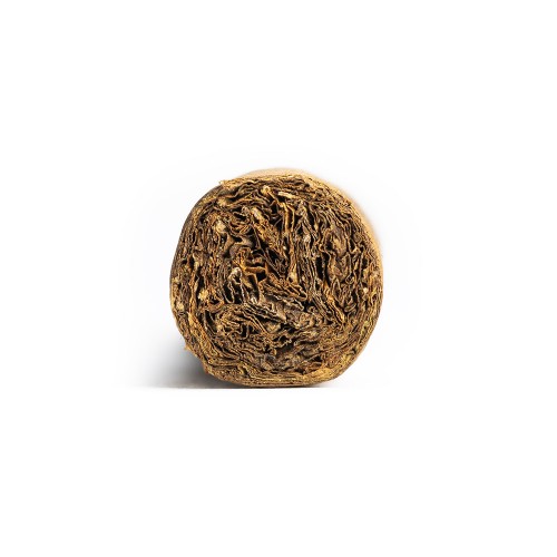 Casa 1910 Soldadera Edition Sampetrina Robusto Cigar - 1 Single