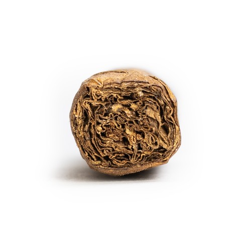 Casa Turrent 1880 Claro Double Robusto Cigar - 1 Single