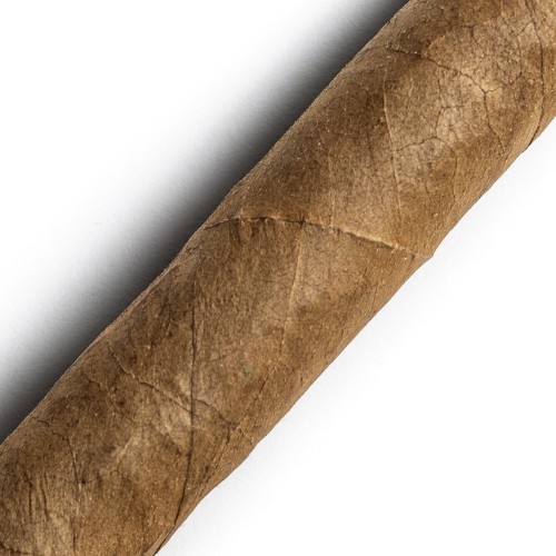 Cusano Dominican Selection Petit Panatela Cigar - 1 Single (Discontinued)