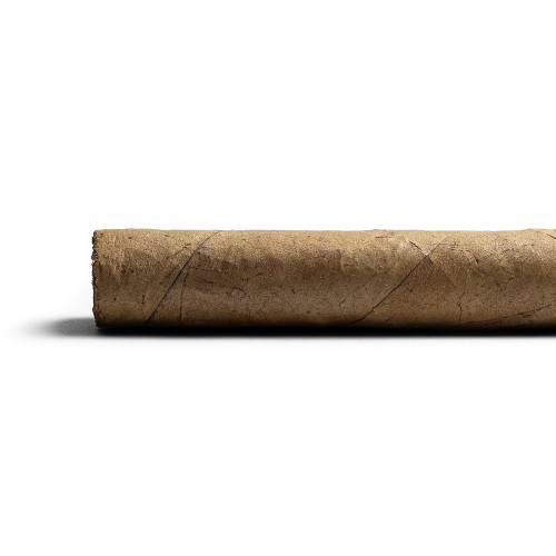 Conquistador Petit Corona Cigar - 1 Single