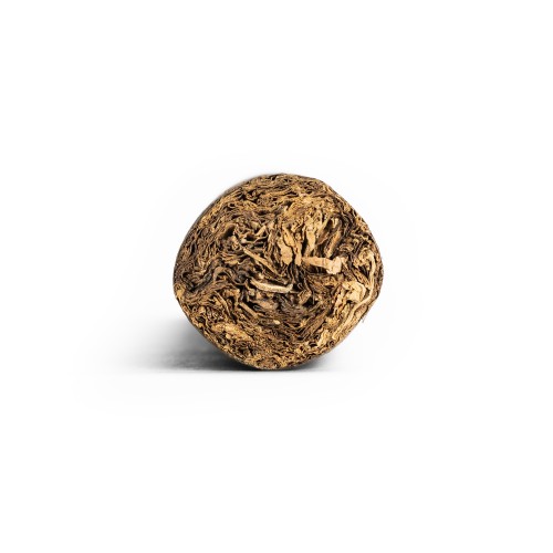 CLE Asylum 13 Goliath Cigar - 1 Single