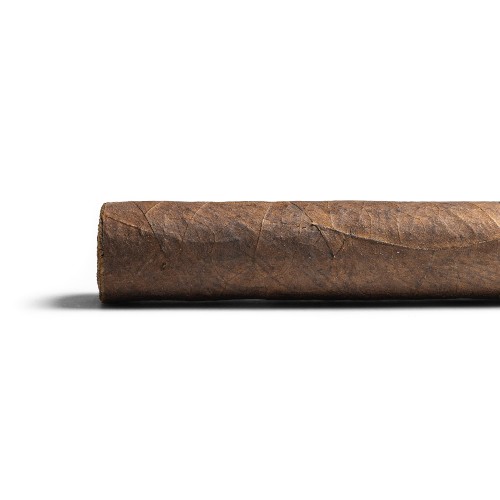 CLE Asylum 13 Toro Gordo Cigar - 1 Single