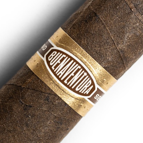 Curivari Buenaventura BV Mini Maduro Cigar - 1 Single
