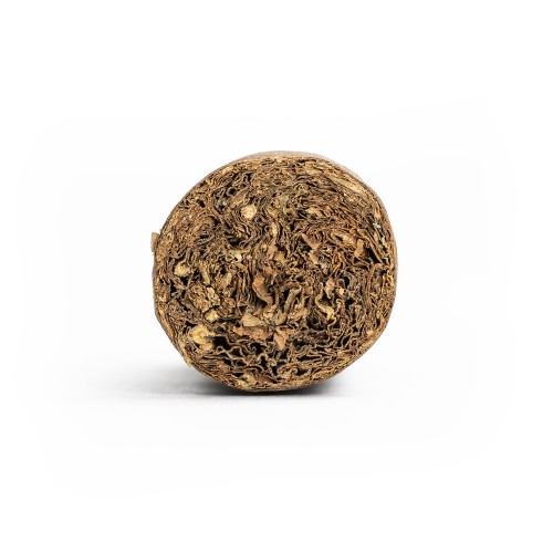 Chinchalero Novillo Torpedo Fuerte Maduro Cigar - 1 Single