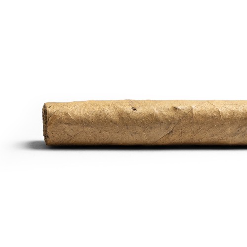 Chinchalero Perla Cigar - 1 Single