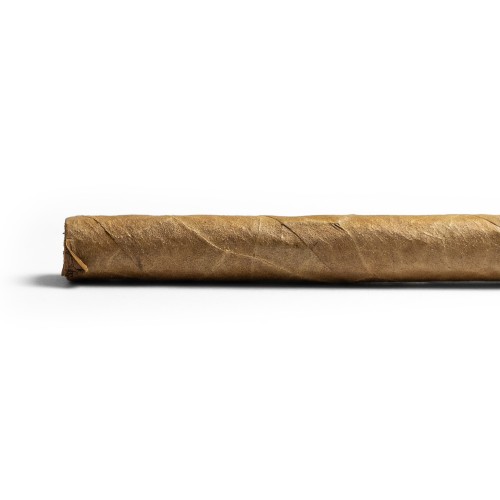 Chinchalero Esportivo Cigar - 1 Single