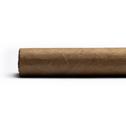 AVO XO Intermezzo ND Cigar - 1 Single