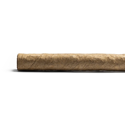 De Olifant Senoritas - VOC XO Cigar - 1 Single