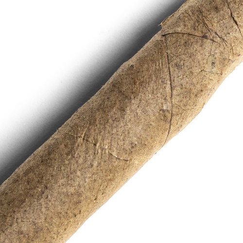 De Olifant Senoritas - VOC XO Cigar - 1 Single
