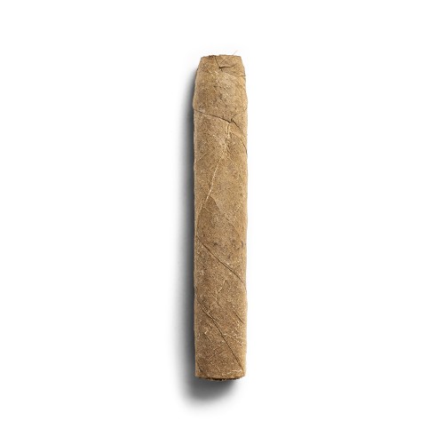 De Olifant Robusto Valentino Cigar - 1 Single