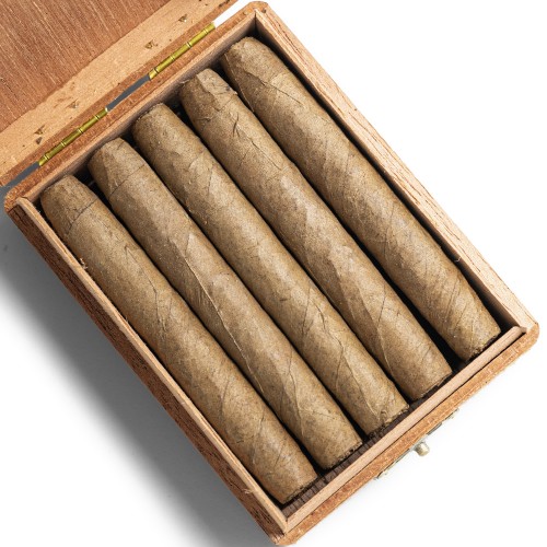 De Olifant Half Corona - Matelieff Cigar - Box of 10