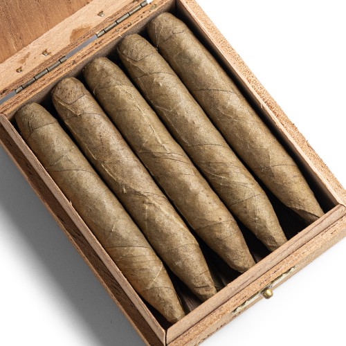 De Olifant - Tuit Senoritas - Knakje XO Cigar - Box of 10