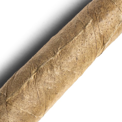 De Olifant - Tuit Senoritas - Knakje XO Cigar - 1 Single