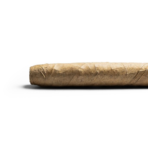 De Olifant - Tuit Senoritas - Knakje XO Cigar - 1 Single