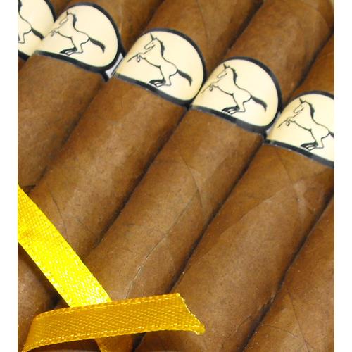 Charatan Petit Corona - First class Nicaraguan - Box of 25s