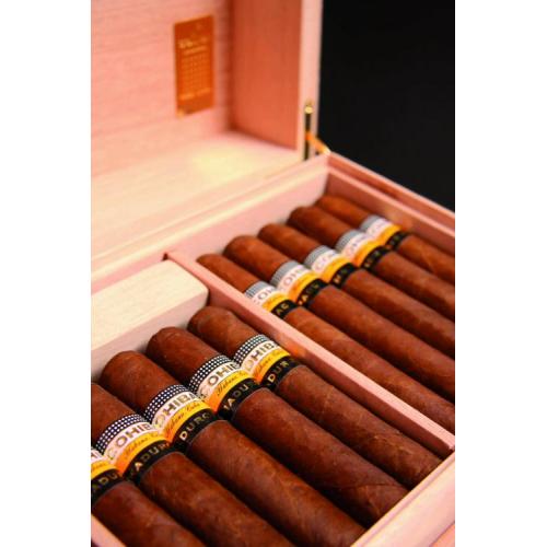 Cohiba Maduro 5 Humidor