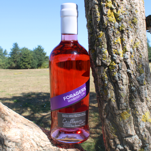 Snowdonia Foragers Gin Winberry - 40% 70cl