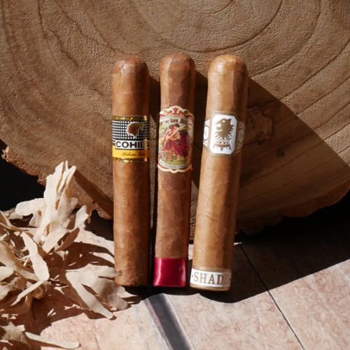 Robusto Cigars