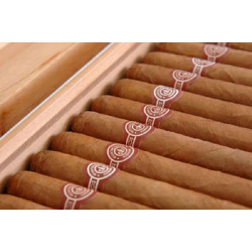 Montecristo B Compay Segundo 100 Aniversario cigar - 1s
