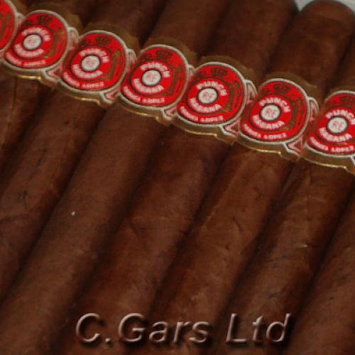 Punch Coronas Cigar - 1 Single