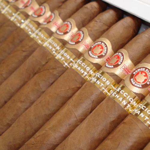 Seleccion Orchant Ramon Belicosos (Yankeesfan)