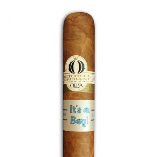 Oliva Orchant Seleccion Shorty Cigar - 1 Single (Its a Boy Band)