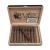 Puffin Cigars - Shorty - Box of 10