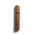 Chinchalero Picadillo Maduro Cigar - 1 Single