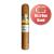 Cohiba Robustos Cigar - 1 Single (Its a Boy Band)
