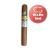 Cohiba Siglo II Cigar - 1 Single (Mr & Mrs Band)