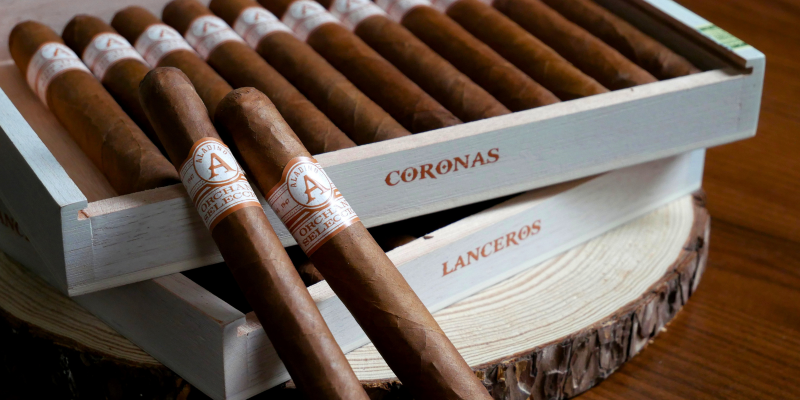 Brand New Orchant Seleccion
