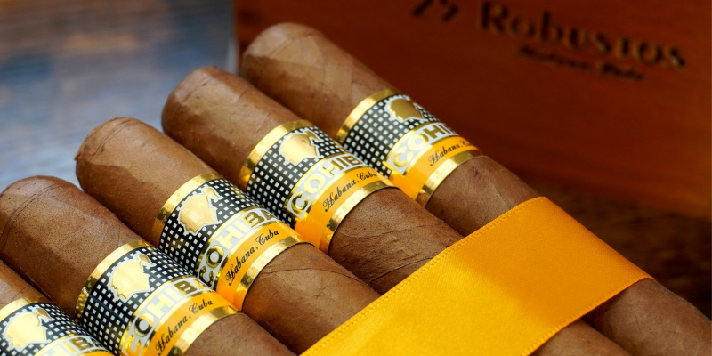 Cohiba Robusto