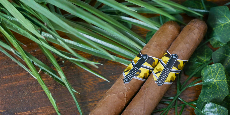 EXCLUSIVE to C.Gars